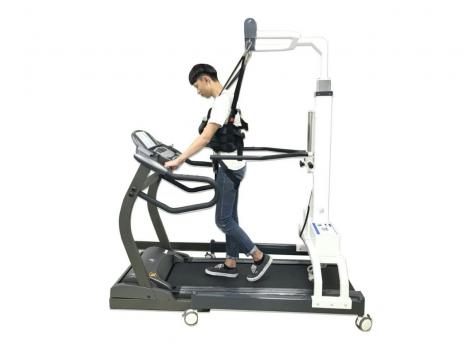 American Motion Fitness Подвес передвижной AMF 2550